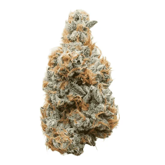 Mr. Thick - THCa Flower